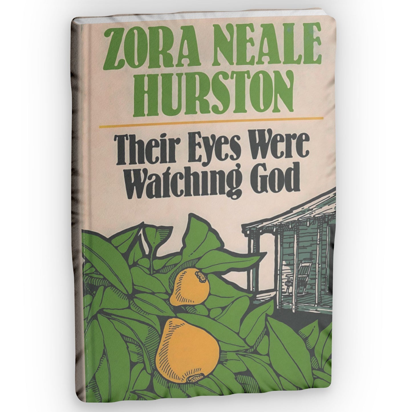 Banned Book Pillow Collection - (Banned in multiple states) THEIR EYES WERE WATCHING GOD - Giant 3D Pillow