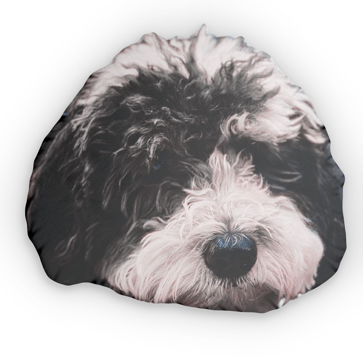 Giant Custom 3D Your very own Pet or Dog Pillow Up to 27" Tall