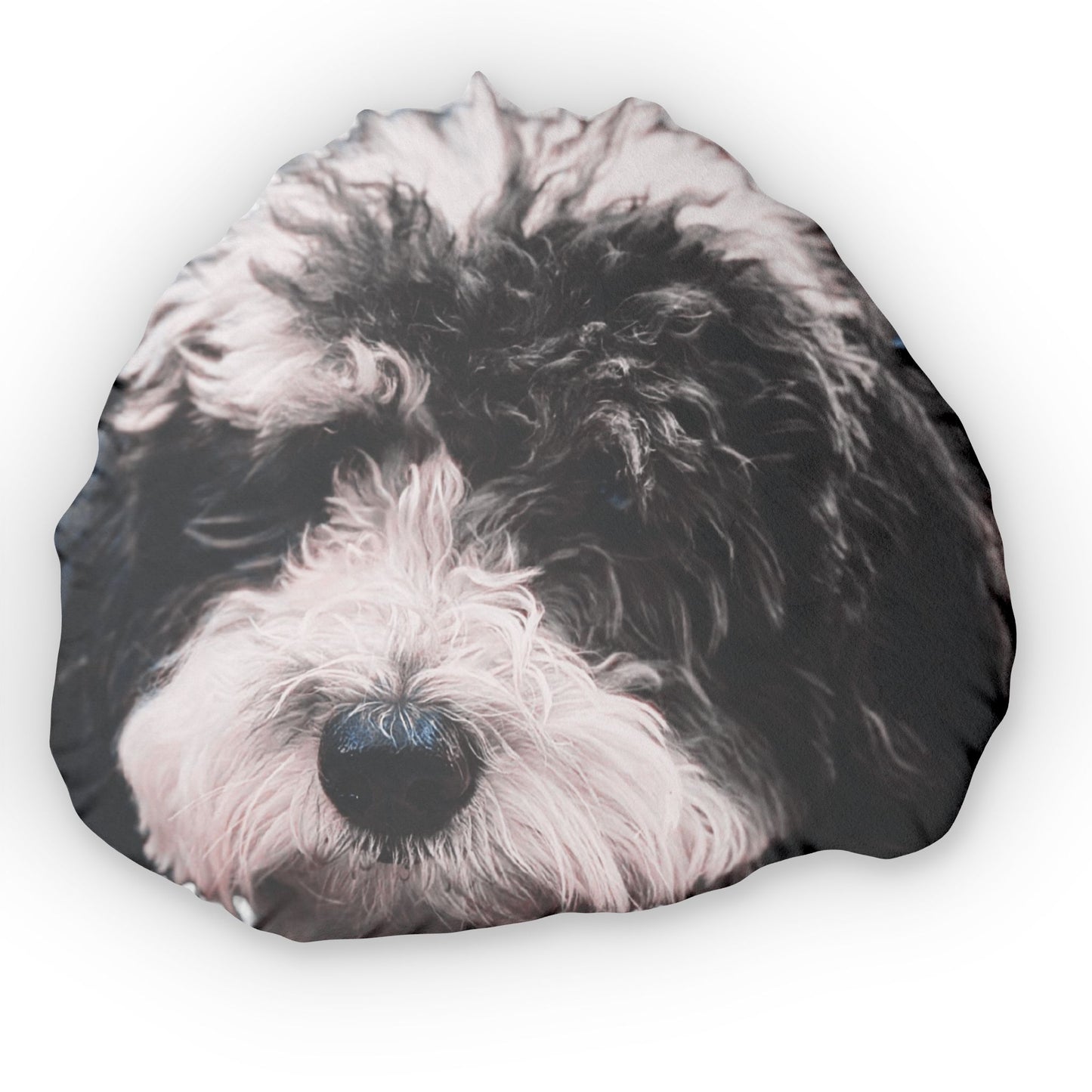 Giant Custom 3D Your very own Pet or Dog Pillow Up to 27" Tall